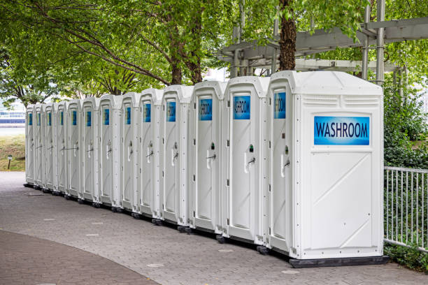 Best Affordable portable toilet rental  in Roselle, NJ